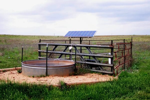 Custom Solar Packages - Livestock watering system powered by solar