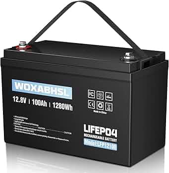 SWE LiFePO4 12V/100Ah Lithium Battery w. BT and Heater - Image 3
