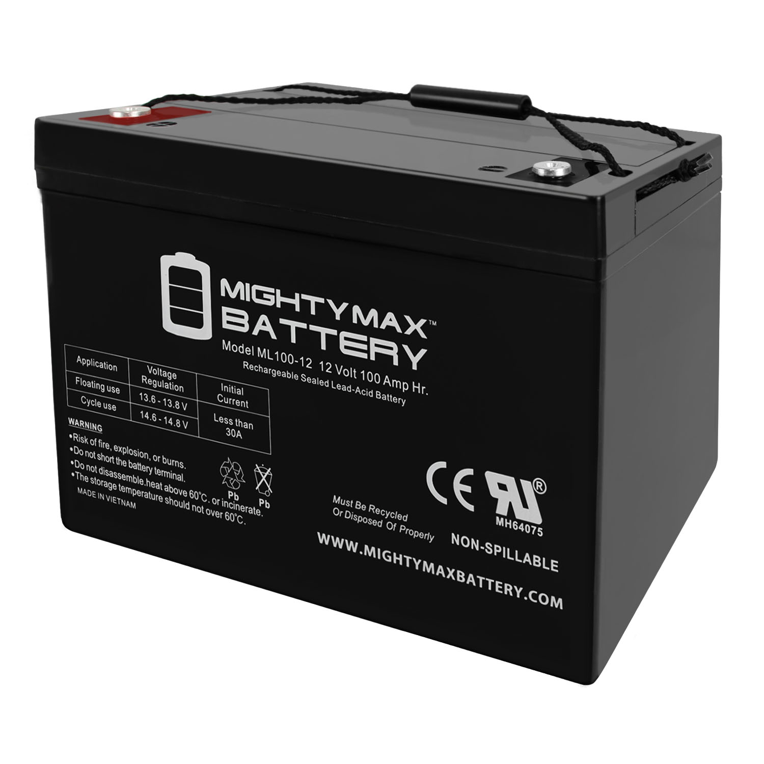 SWE12-100 Lead Carbon Battery 12 VDC 100 Ah Group 31 - Image 9