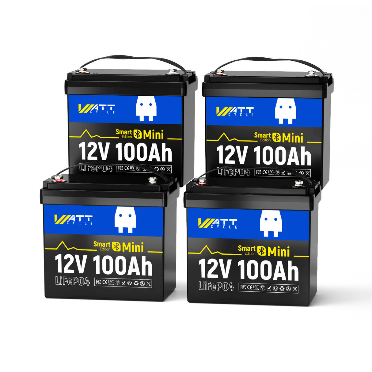 BA9550 Top Band 4 X 100 Ah 12.8V Batteries,Box and Cables Cap: 5.12kWh 51.2V Bank